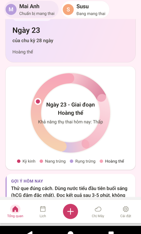 Bánh xe chu kỳ & cửa sổ thụ thai